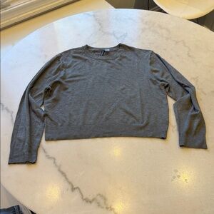 Divided Gray Cropped Crewneck Sweater